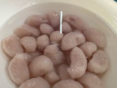 -章记正宗南岗鱼蛋火锅