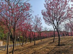 -牛岗山公园