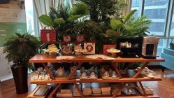 -月幸福月子中心(静安店)