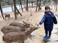 -观唐（国际）度假村温泉