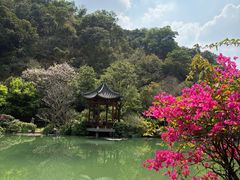 -云溪植物园