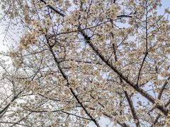 -龟山风景区-龟山电视塔