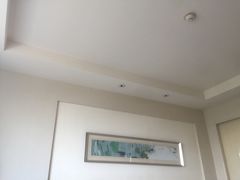 -上海浦东康桥绿地假日酒店