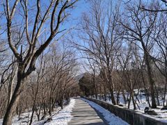 -大觉寺-停车场