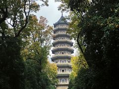 -灵谷景区