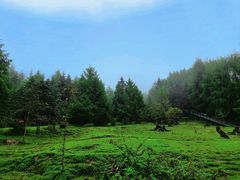 -硗碛藏寨·神木垒景区