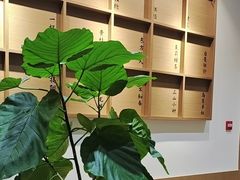 -一杯潮茶·专注潮汕茶饮(朝阳庄店)