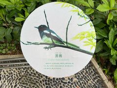 -东莞植物园