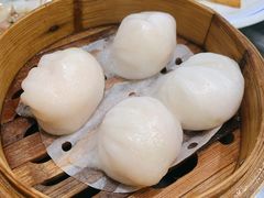 虾饺-华峰食馆(氹仔店)