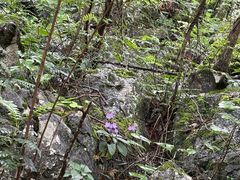 -普者黑风景区-青龙山