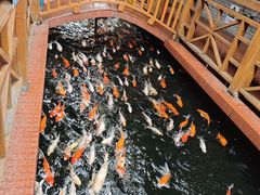 -侠成水上农庄(工业大道店)