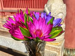 -三亚南山文化旅游区