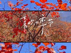 -水峪民俗村