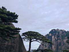 -黄山风景区