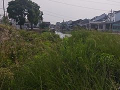 -七的湖·晚芳亭·阳澄湖农家菜·大闸蟹(莲花岛店)