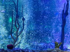 -沈阳海洋探索中心