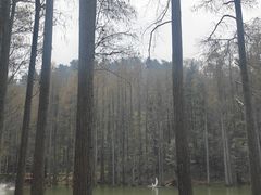 -波尔登森林公园