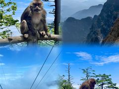 -峨眉山风景名胜区