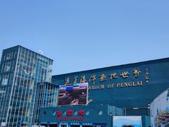 -蓬莱欧乐堡海洋极地世界