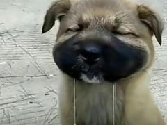 -威高广场