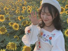 -瑶湖郊野森林公园