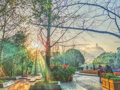 -南山植物园