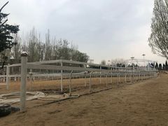 -大连凯洋马术俱乐部有限公司