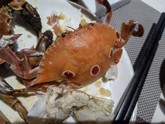 -悦鼎汇海鲜姿造