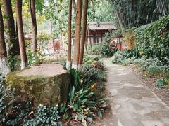 -望江楼公园
