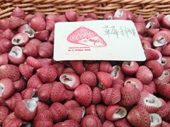 -万达广场(武汉菱角湖店)