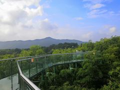 -陶祖圣境风景区