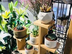 -谷莠子花艺气球派对·绿植造景·花艺沙龙(东海缤纷天地店)