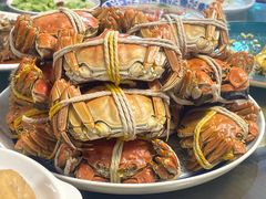 -小陆莲花蟹园农家乐(莲花岛店)