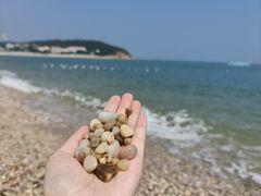 -长岛南北长山旅游景区