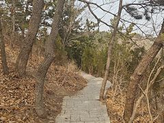 -西尖山公园