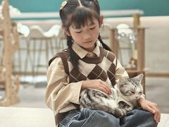 -飞行喵MR PILOT|猫舍·猫咖(静安大融城店)