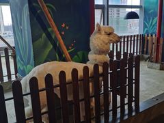 -昆明大悦城未来动物城(螺蛳湾中心店)