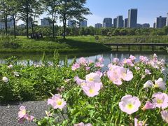 -洋湖国家湿地公园