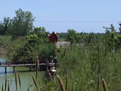 -泗洪洪泽湖湿地景区