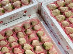 -双福水果批发市场