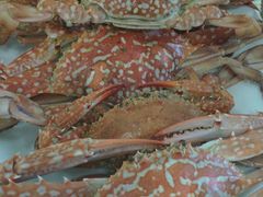 -蚝乡农庄(铁涌赤岸店)