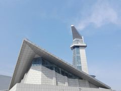 -盐城丹顶鹤湿地生态旅游区