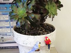 -丽泽山庄·生态怀柔菜·虹鳟鱼(红螺寺店)