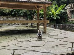-贵州森林野生动物园
