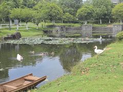 -宁波九龙湖开元度假村