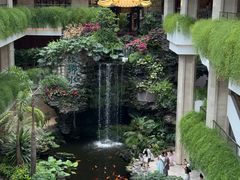 -广州白天鹅宾馆