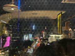 -小大董·烤鸭(观景餐厅·南京西路店)