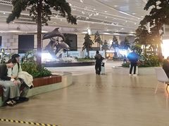 -青岛胶东国际机场