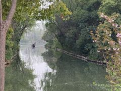 -溱湖国家湿地公园