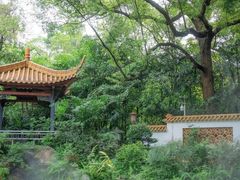 -广州兰圃